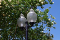 StreetLamp